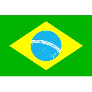 Fahne Brasilien, 150 X 90 cm